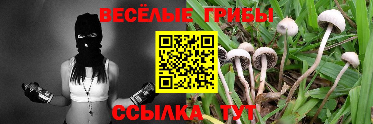 Псилоцибиновые грибы ЛСД  Вход с VPN  Котельники 